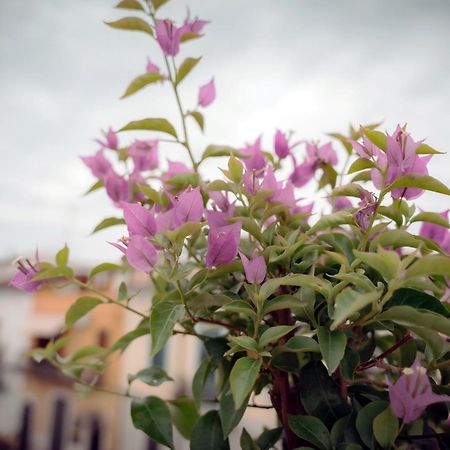 La Terrazza Dei Gemelli - Casa Vacanze Venosa Eksteriør billede